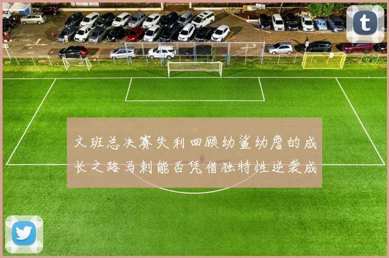 文班总决赛失利回顾幼鲨幼詹的成长之路马刺能否凭借独特性逆袭成功