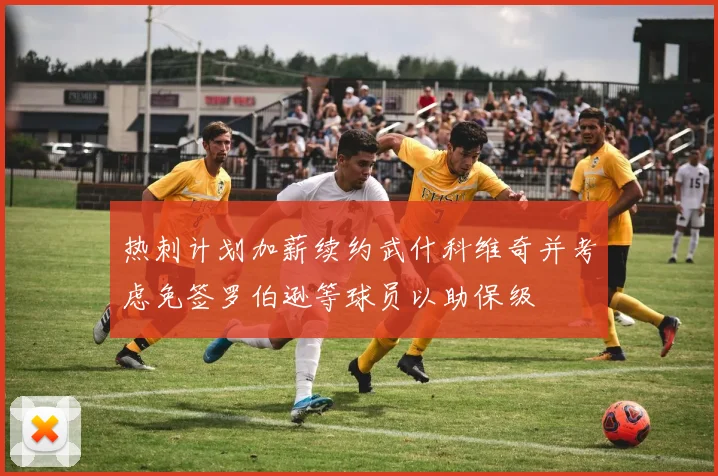 热刺计划加薪续约武什科维奇并考虑免签罗伯逊等球员以助保级