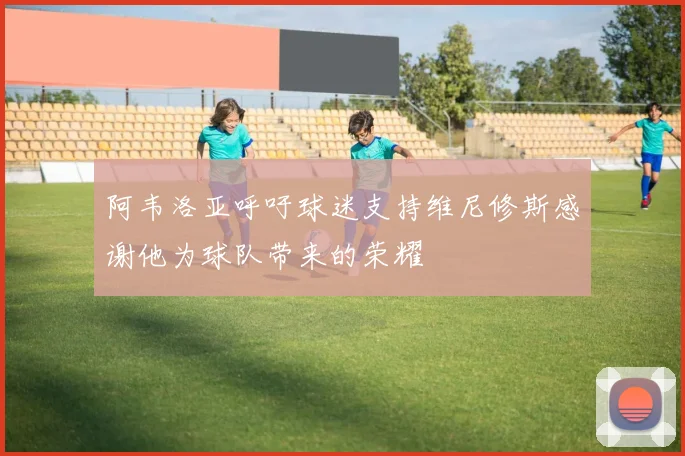 阿韦洛亚呼吁球迷支持维尼修斯感谢他为球队带来的荣耀